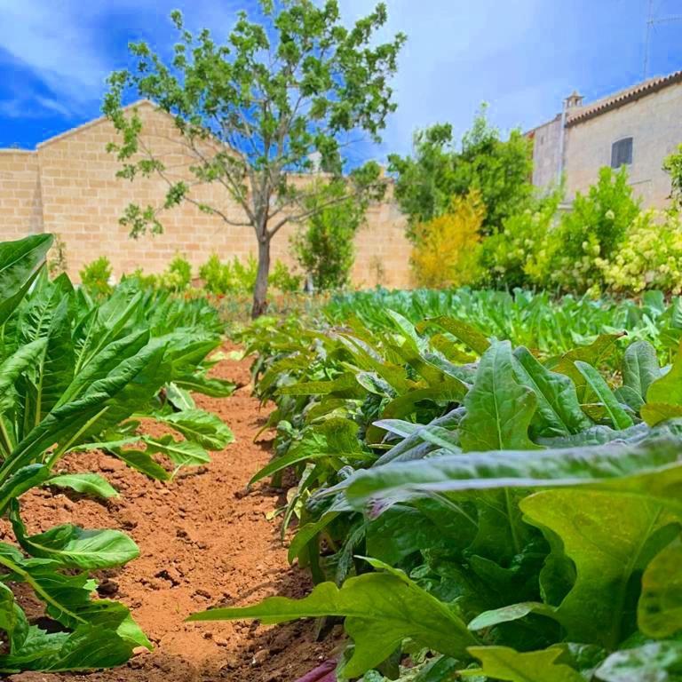 Masseria Vittoria Guest House Acaya Exterior foto